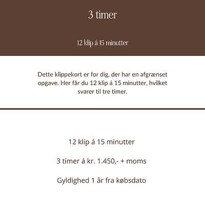 Klippekort, 3 timer, klippekort 3 timer, Katrine Brandborg, WordPress, hjemmeside, webdesign, www.katrinebrandborg.dk