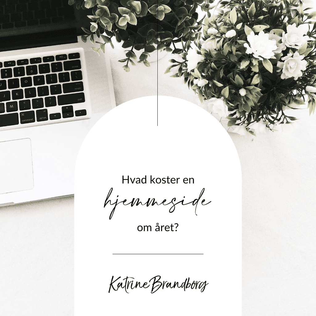 hvad koster en hjemmeside om året, katrinebrandborg.dk, Katrine Brandborg