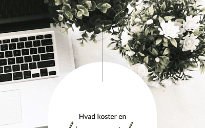 Hvad koster en hjemmeside om året?