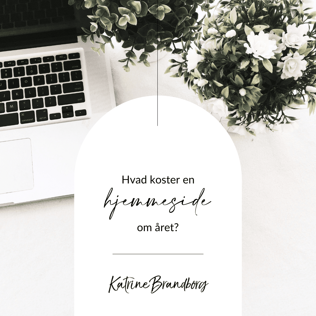 hvad koster en hjemmeside om året, katrinebrandborg.dk, Katrine Brandborg