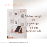 Sådan undgår du spam på din hjemmeside, www.katrinebrandborg.dk, Katrine Brandborg