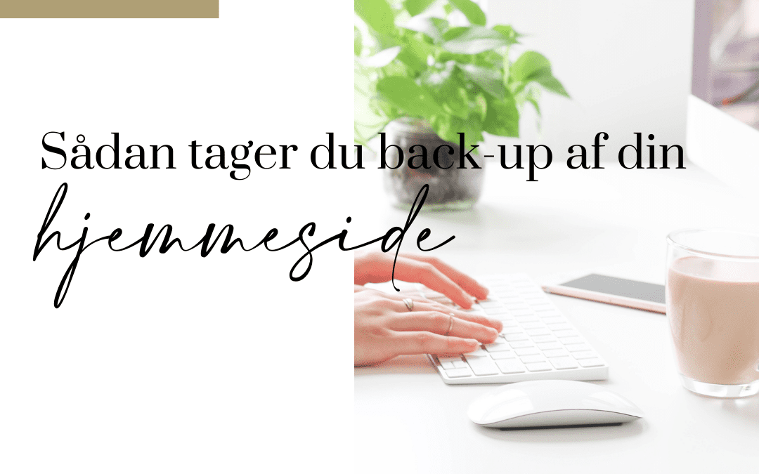 Sådan tager du back-up af din hjemmeside