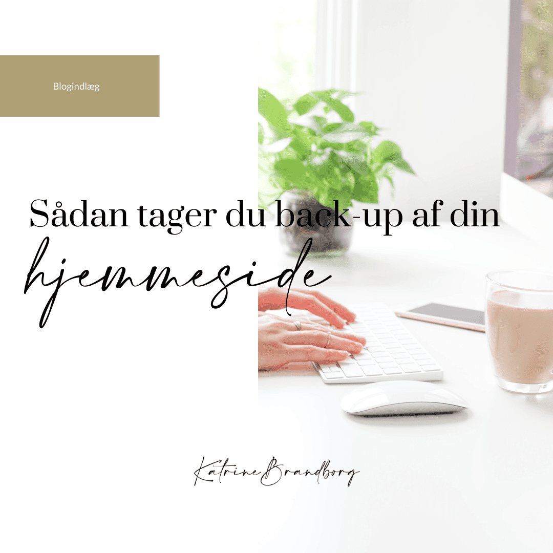back-up af hjemmeside, Katrine Brandborg, www.katrinebrandborg.dk, WordPress,