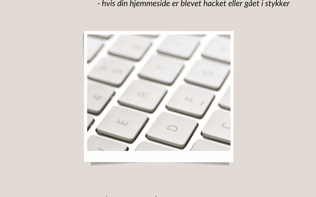 Sådan importerer du en back-up af din hjemmeside